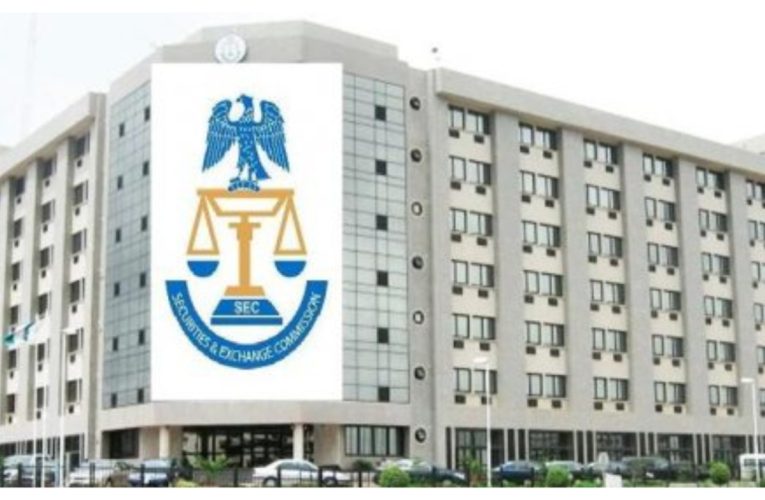 Scam alert: SEC warns Nigerians against investing in Punisher Coin