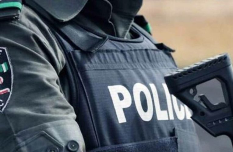 Police arrest suspected cultist during meeting, recover firearm in Ogun