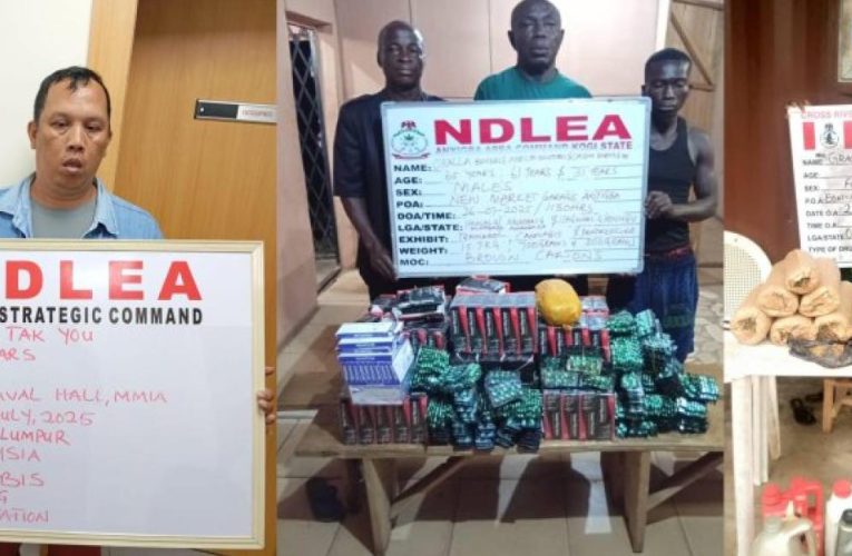 NDLEA Arrests Chinese Man, 80-Year-Old Grandma In Drug Busts, Intercepts Cannabis In Moimoi Packs