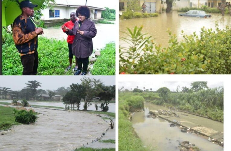UNICROSS VC seeks urgent relief for 24 staff families displaced by flood